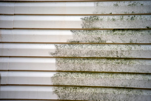 Best Fascia and Soffit Installation  in Arabi, LA